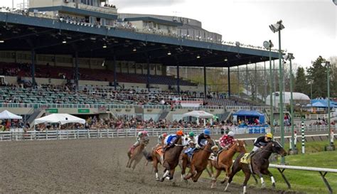 hastings racecourse events.